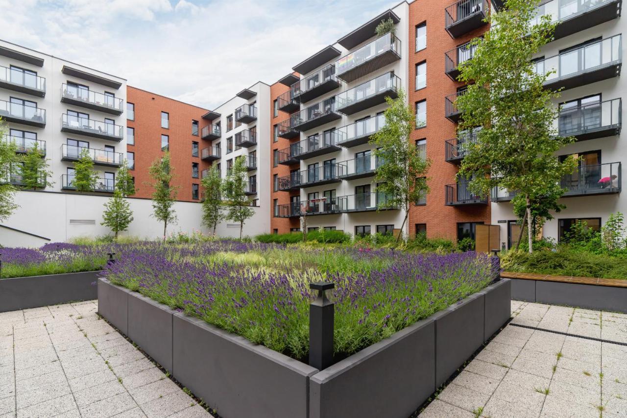 Salsa Pet-friendly By Renters *
